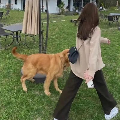 绿色合伙人